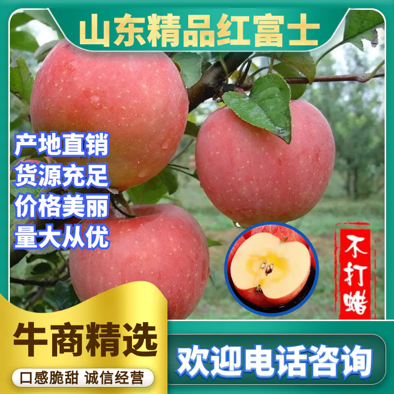 正宗红富士苹果，山东苹果产地直供，皮薄汁多，提供人工包装