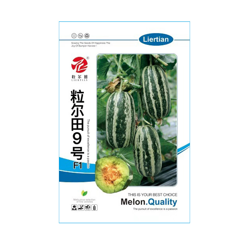 粒尔田9号博洋甜瓜种子薄皮绿肉高品质酥脆爽甜香瓜种子