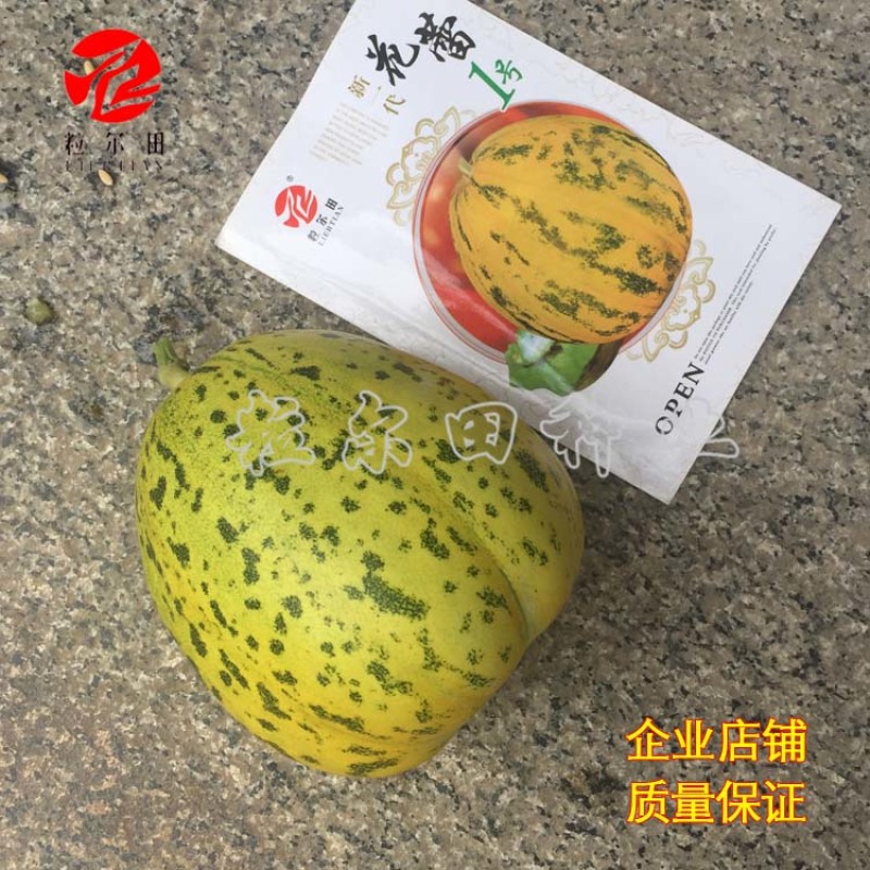 粒尔田花蕾一号甜瓜种子水果种子花皮脆肉香瓜甜瓜种子