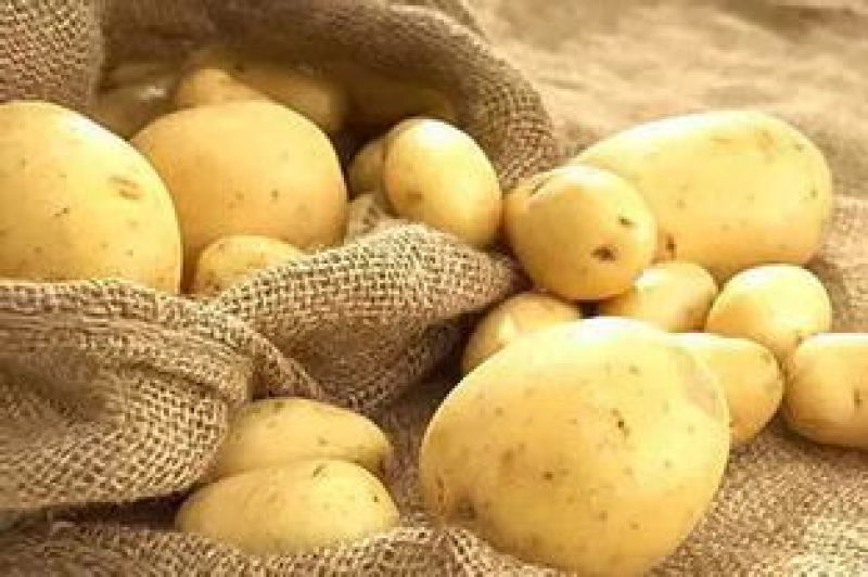 陕西西安土豆现大量有货品质保证