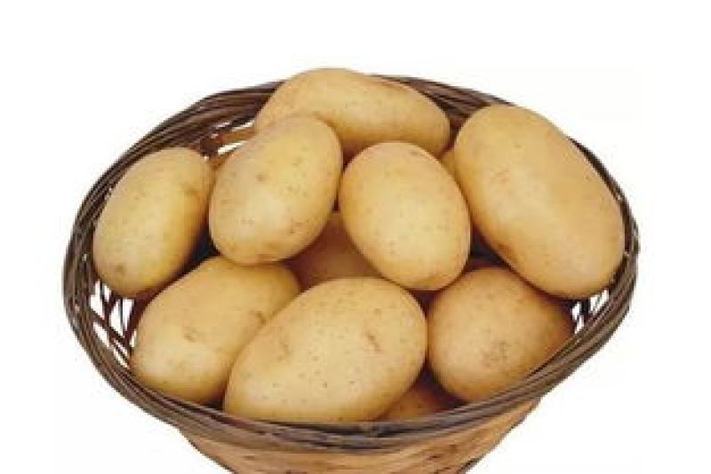 陕西西安土豆现大量有货品质保证