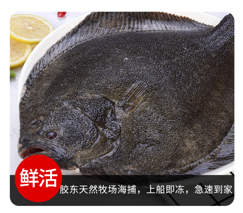 新鲜鲜活速冻海鲜水产多宝鱼包邮/可批发
