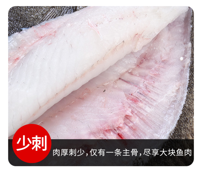 新鲜鲜活速冻海鲜水产多宝鱼包邮/可批发