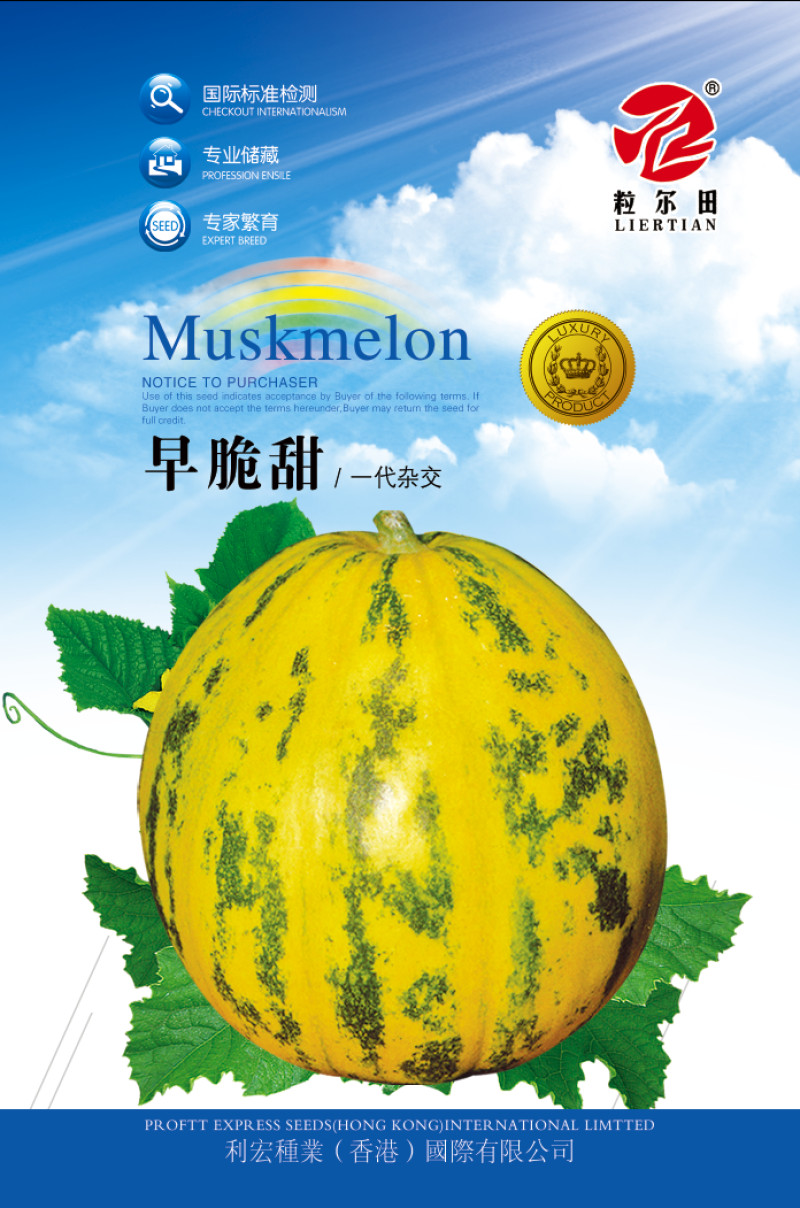 早脆甜薄皮花皮甜瓜种籽果肉脆甜春秋大棚基地用种甜瓜种子