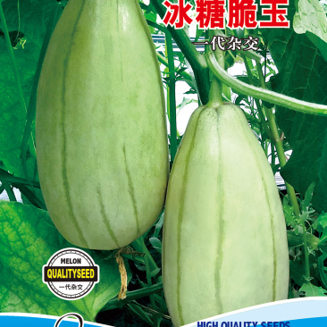 冰糖脆玉薄皮甜瓜种子酥脆蜜甜甜瓜种籽春秋大棚用种