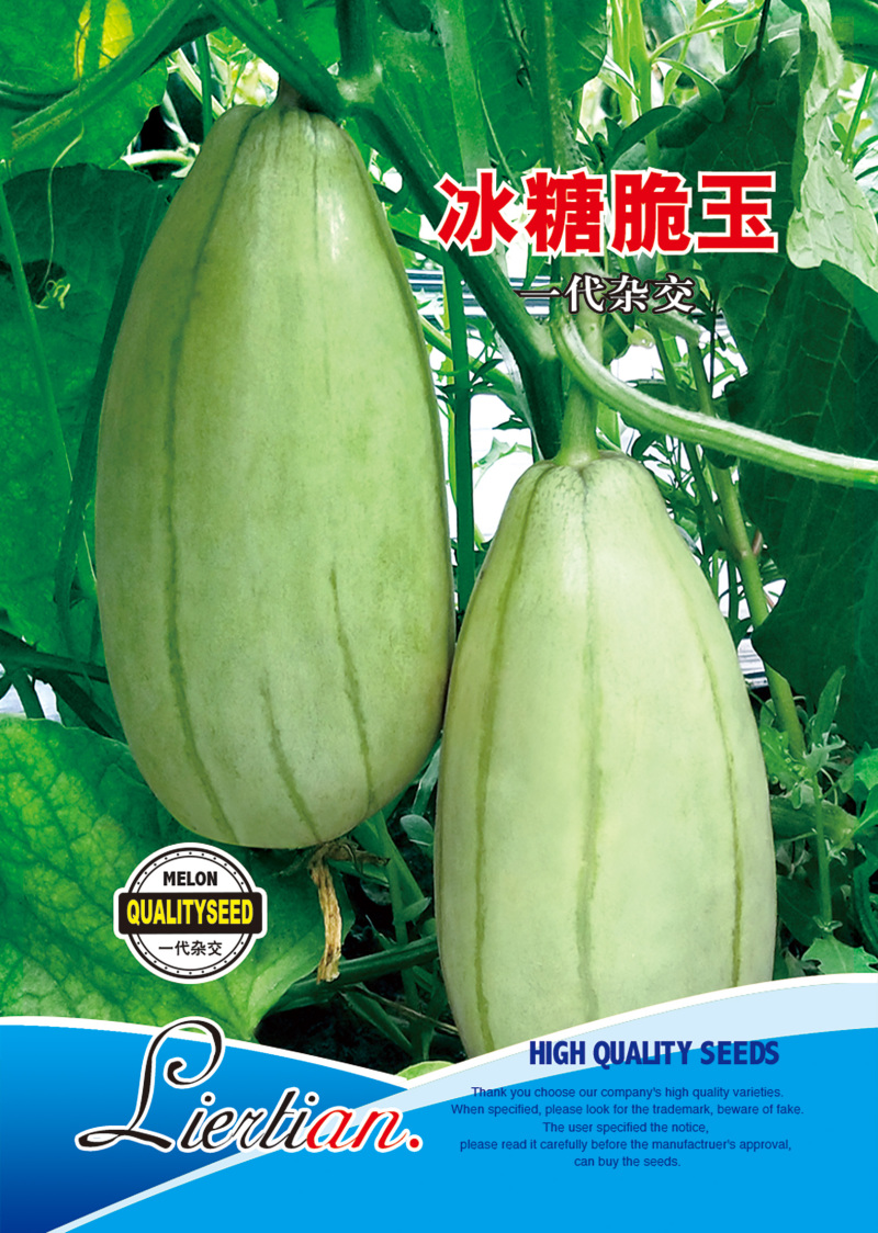 冰糖脆玉薄皮甜瓜种子酥脆蜜甜甜瓜种籽春秋大棚用种