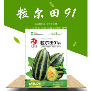 粒尔田91甜瓜种子博洋甜瓜酥脆爽甜肉厚腔小易坐果