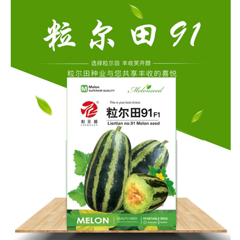 粒尔田91甜瓜种子博洋甜瓜酥脆爽甜肉厚腔小易坐果