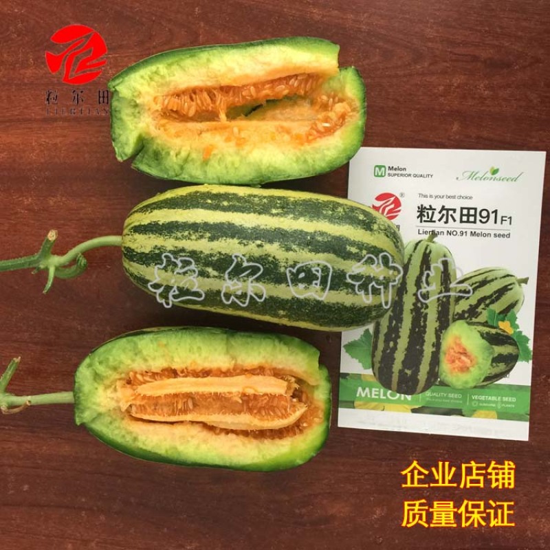 粒尔田91甜瓜种子博洋甜瓜酥脆爽甜肉厚腔小易坐果