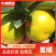 四川资阳特早蜜橘特早蜜桔柑橘产地一条龙服务皮薄