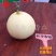 粒尔田早春雪蜜白皮白肉香瓜甜瓜种子种子基地早春大棚