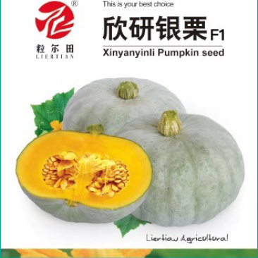 欣研银栗南瓜种子新疆银栗甜面板栗南瓜甘糯香甜