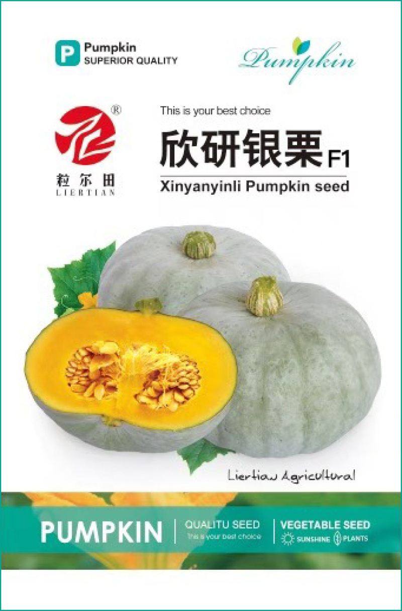 欣研银栗南瓜种子新疆银栗甜面板栗南瓜甘糯香甜