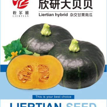 欣研大贝贝南瓜种子绿贝贝南瓜种籽板栗味甘面甜