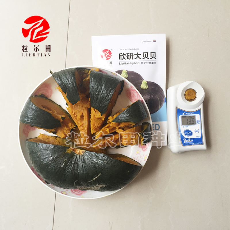 欣研大贝贝南瓜种子绿贝贝南瓜种籽板栗味甘面甜
