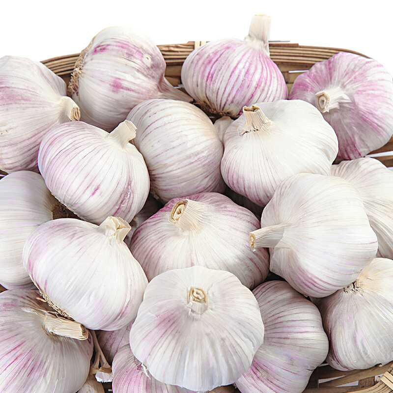 新干蒜紫白皮大蒜新鲜大蒜头2/3/5/10斤批发