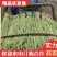长豆角青条豆角质量杠杠滴，量大从优代发全国欢迎来电洽谈