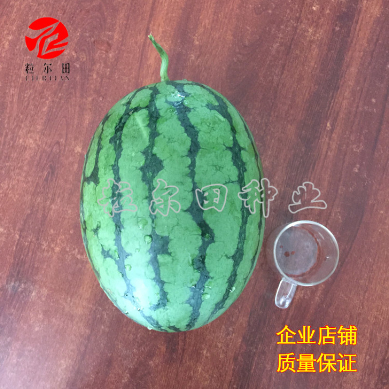 橙秀西瓜种子200粒果肉嫩黄口感爽脆黄瓤小西瓜种子