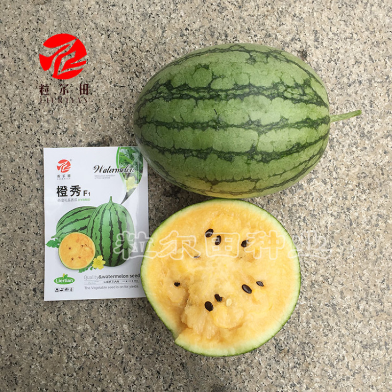 橙秀西瓜种子200粒果肉嫩黄口感爽脆黄瓤小西瓜种子