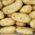 精品荷兰十五土豆黄皮黄心价格优惠量大质优