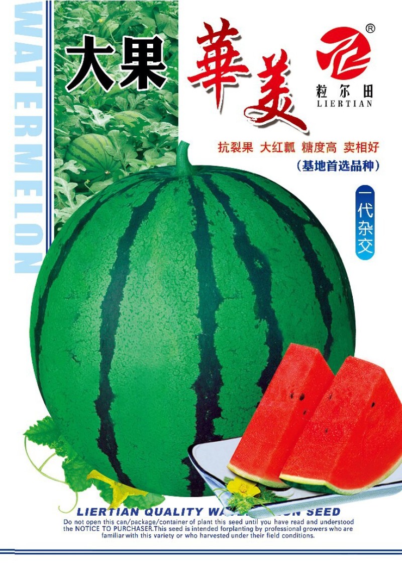 粒尔田华美西瓜种子大果型京欣类西瓜大红瓤