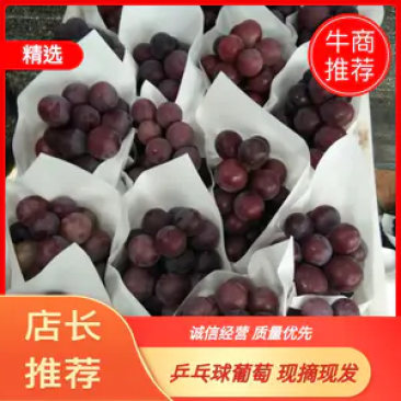 乒乓球葡萄5%以下1~2斤支持视频看货欢迎电话咨询