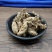 金蝉花500g蝉蛹草知了花新货蝉菌金蚕花
