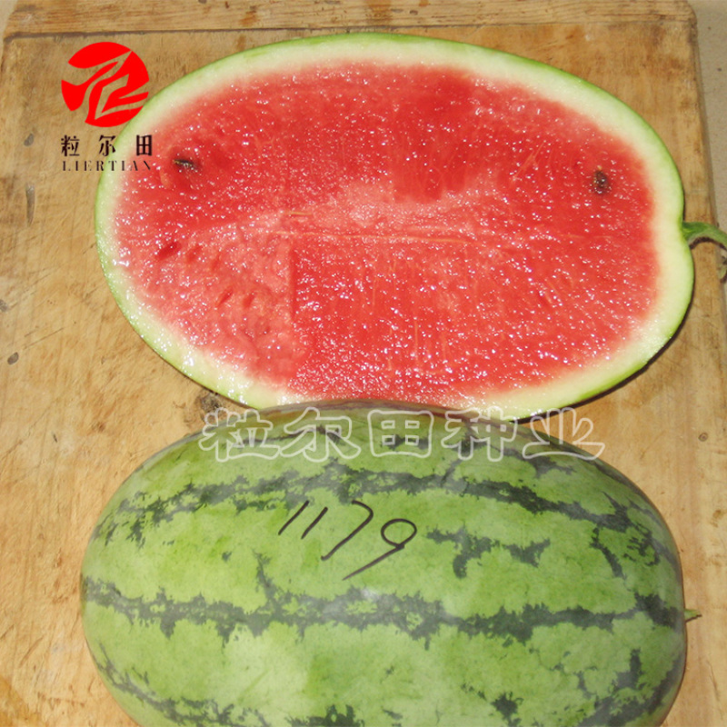 粒尔田花魁西瓜种籽可重茬种大果型椭圆大红瓤西瓜种子
