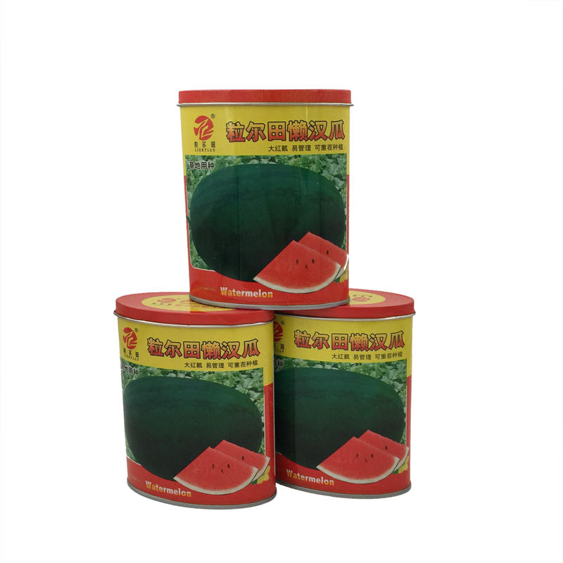 粒尔田懒汉瓜大果西瓜种子大红瓤甜度高可重茬种植