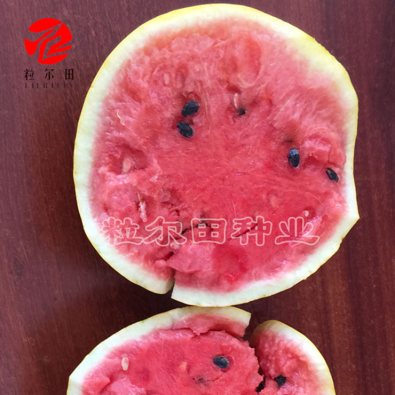 黄美人西瓜种子黄皮红瓤甜度高西瓜种子礼品西瓜种子
