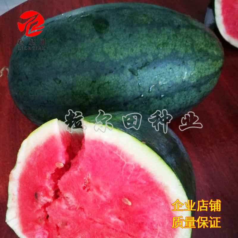 黑美人西瓜种子黑皮红瓤脆沙瓤西瓜种子欢迎订购