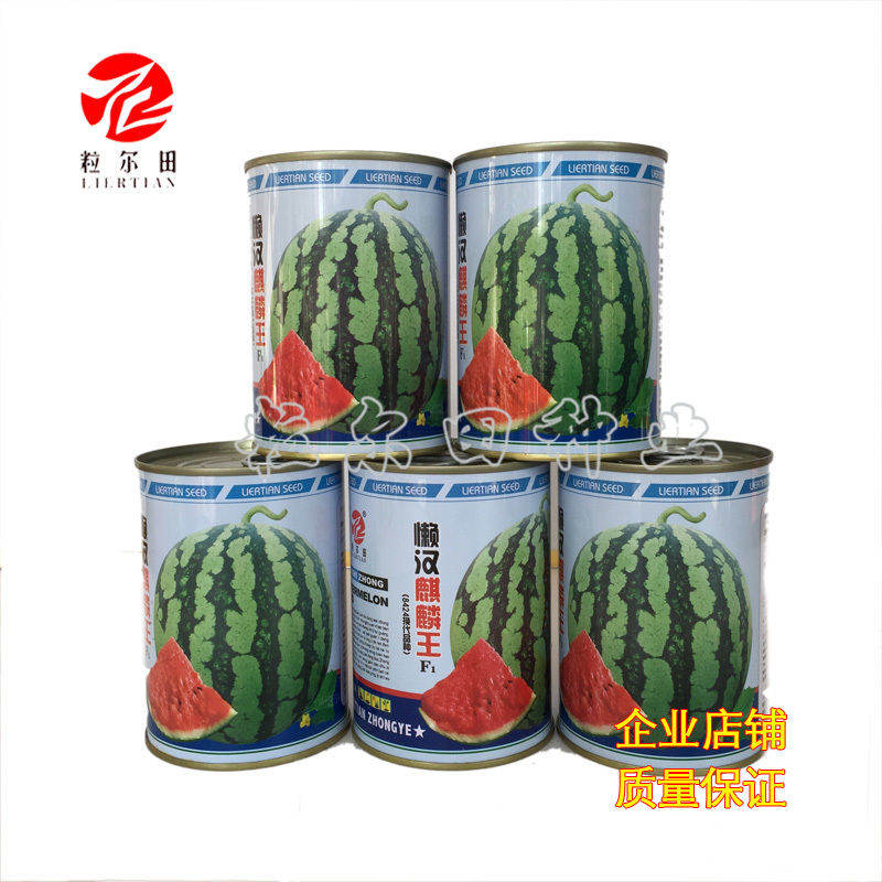 粒尔田懒汉麒麟西瓜种子麒麟西瓜种子水果种子大面积基地种