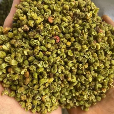 2022年新货昭通青花椒云南青花椒特香特麻产地直发新椒