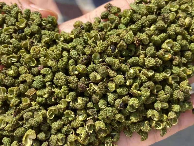 2022年新货昭通青花椒云南青花椒特香特麻产地直发新椒