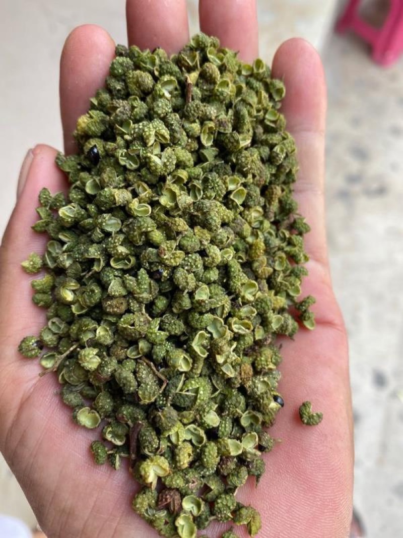2022年新货昭通青花椒云南青花椒特香特麻产地直发新椒