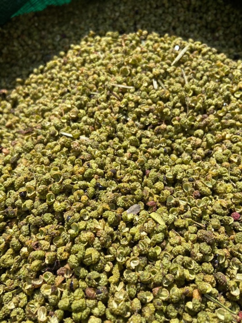 2022年新货昭通青花椒云南青花椒特香特麻产地直发新椒