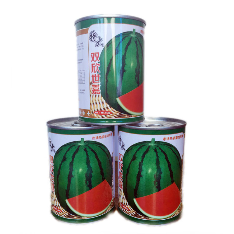 粒尔田双欣世嘉西瓜种籽大果麒麟西瓜种子大面积种植