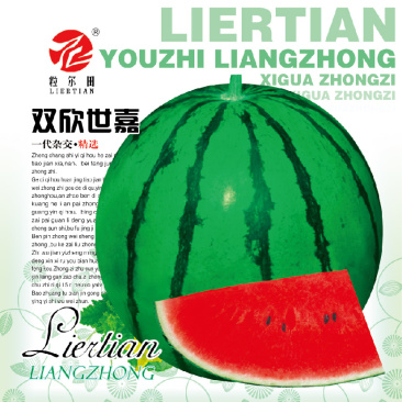 粒尔田双欣世嘉西瓜种籽大果麒麟西瓜种子大面积种植