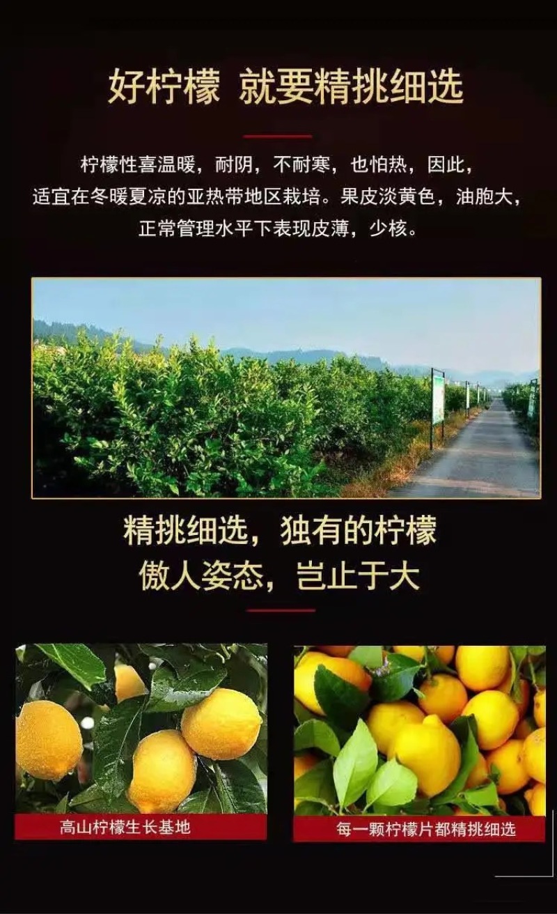 柠檬片2021年柠檬干片泡茶泡水柠檬片袋装无硫柠檬水果茶