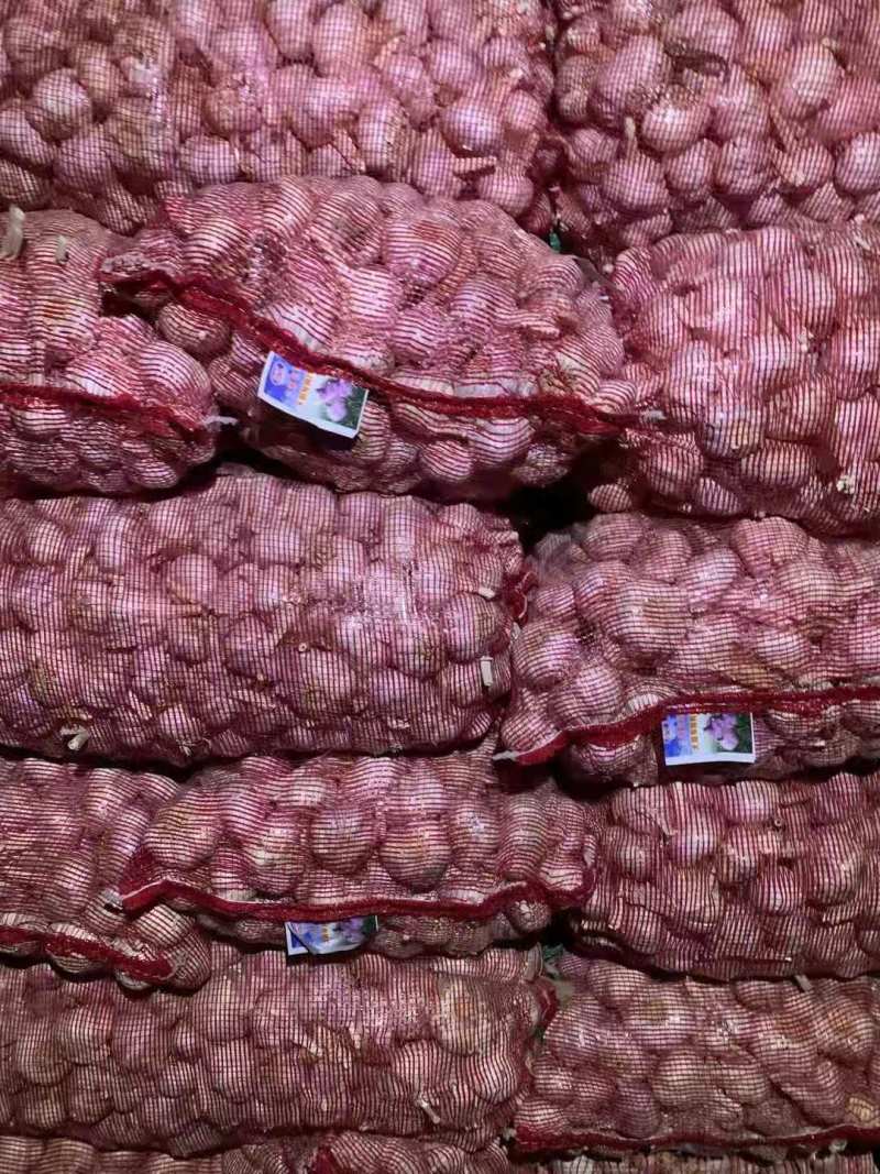 河南大蒜各种电商平台加工(，规模齐全批发商超加工