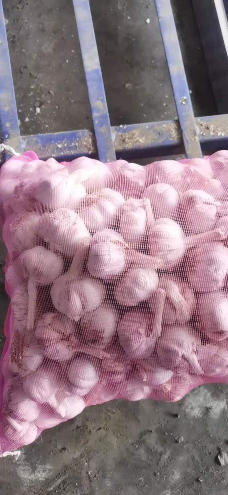 大蒜河南干大蒜货源足常年供货加工规格欢迎选购