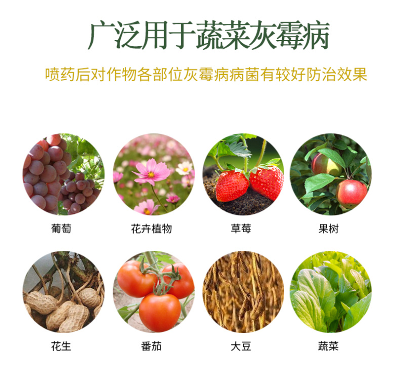 灰霉病杀菌剂嘧霉胺乙霉威黄瓜西红柿叶菜灰霉病杀菌剂