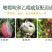 灰霉病杀菌剂嘧霉胺乙霉威黄瓜西红柿叶菜灰霉病杀菌剂
