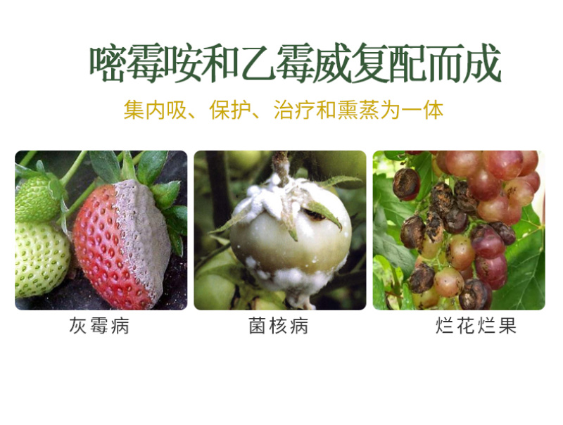 灰霉病杀菌剂嘧霉胺乙霉威黄瓜西红柿叶菜灰霉病杀菌剂