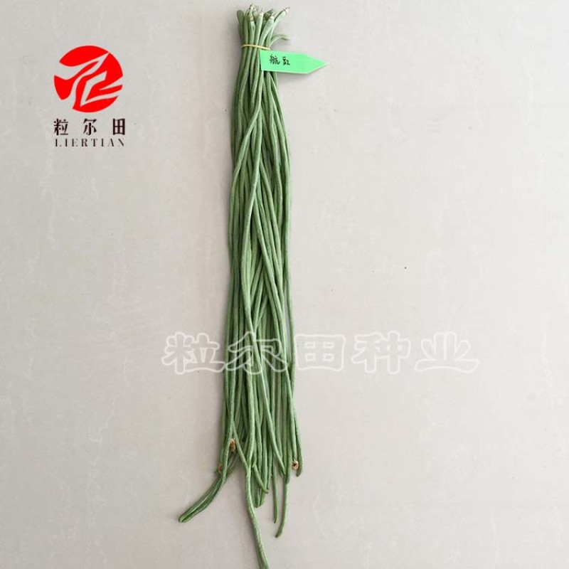 150克粒尔田航豇豆角种豆角顺直不长豆角种子结荚多