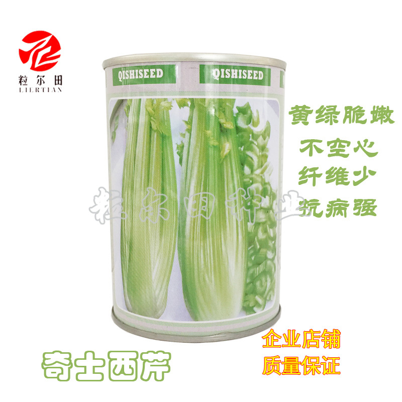 粒尔田奇士西芹芹菜种子黄绿脆嫩不空心