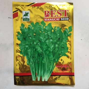 粒尔田奇士香菜香芽率高味浓生长快香菜种子