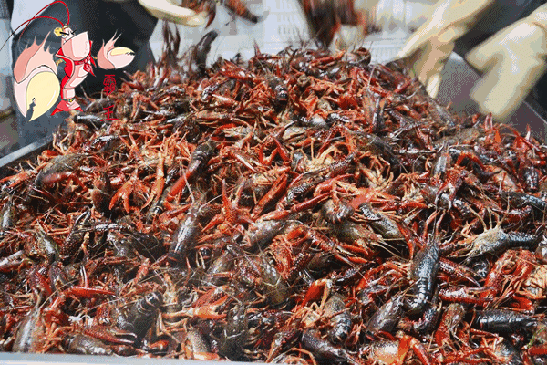 小龙虾烹饪完成后的摆盘图