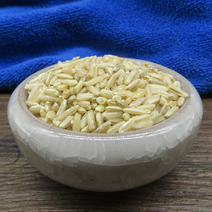 粳米500g药食同源五谷杂粮长粒大米糙米非大米
