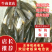 【军鱼苗】广东青竹鲩，石坚、中华倒剌耙鱼、